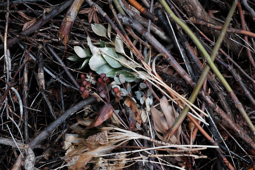 leaf