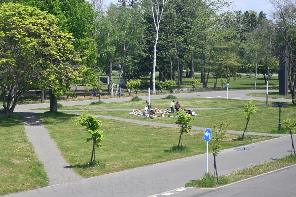 a play ground