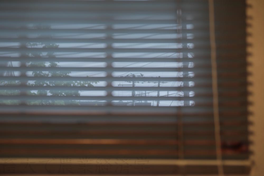 a window
