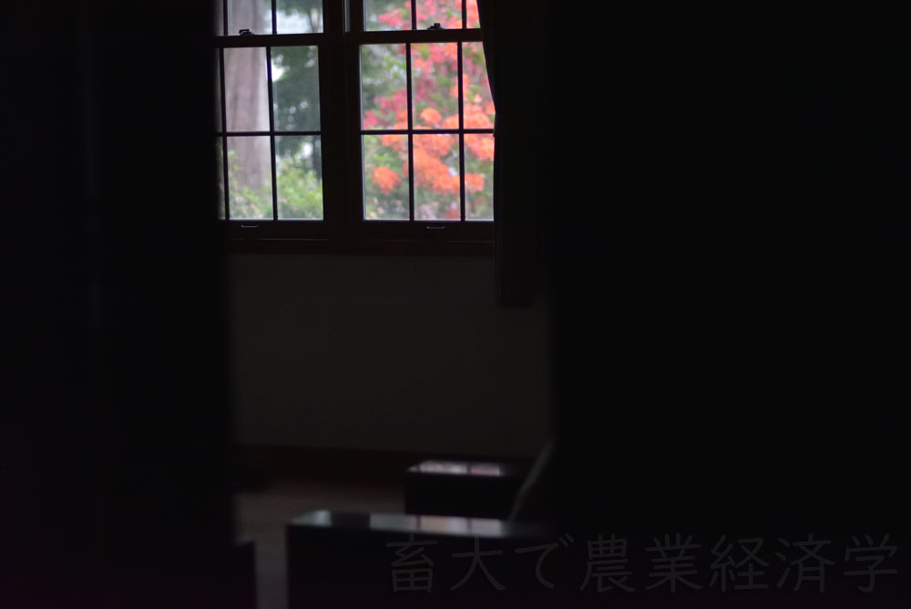 windows