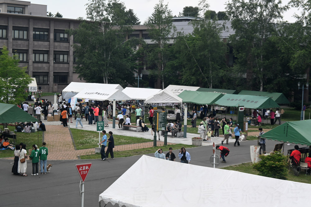 festival