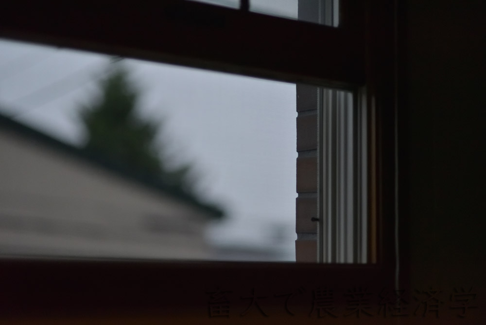 window