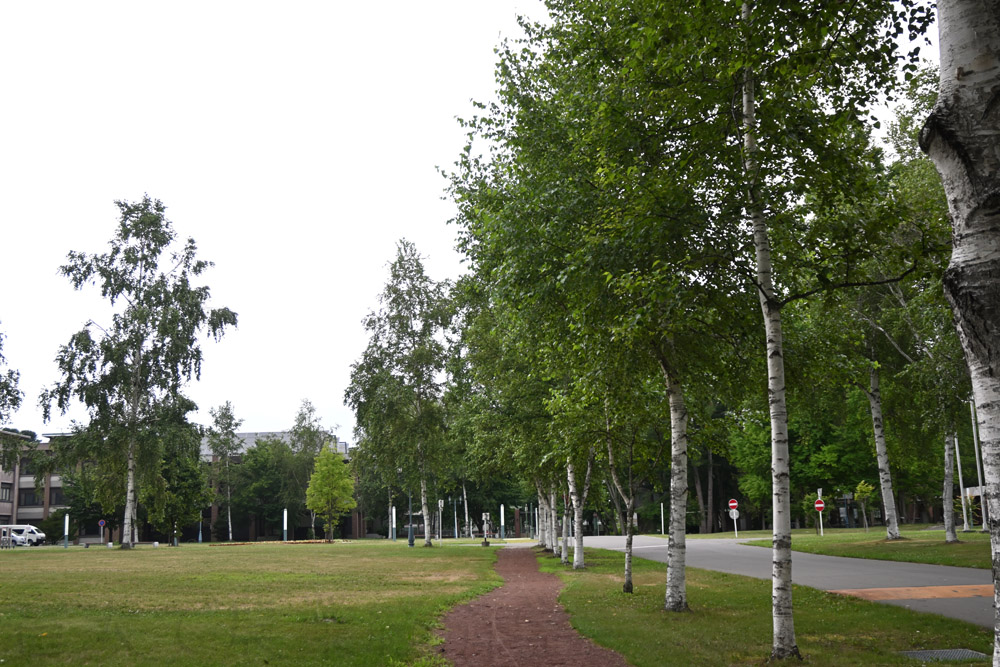 CAMPUS