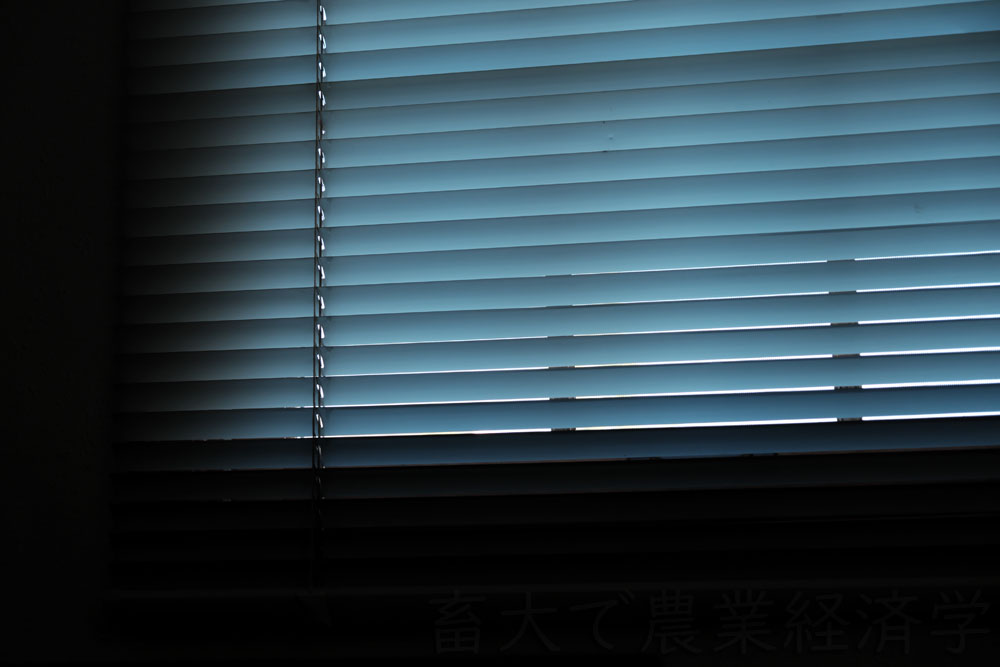 window