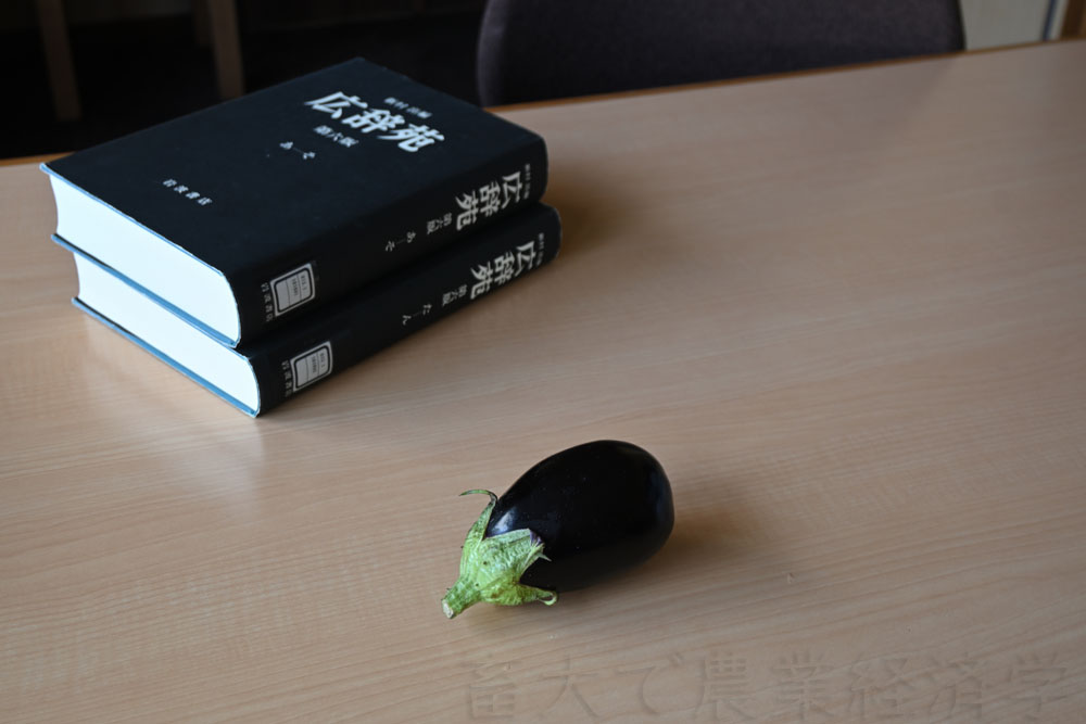 an egg plant