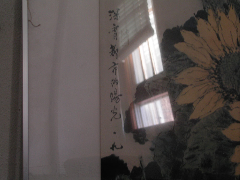 by CONTAX