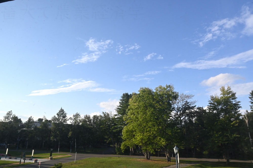 kasahiwa plaza