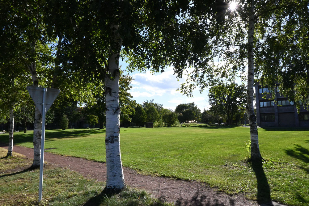 end of summer