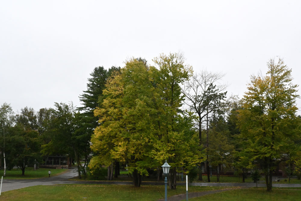 biggining of autumn