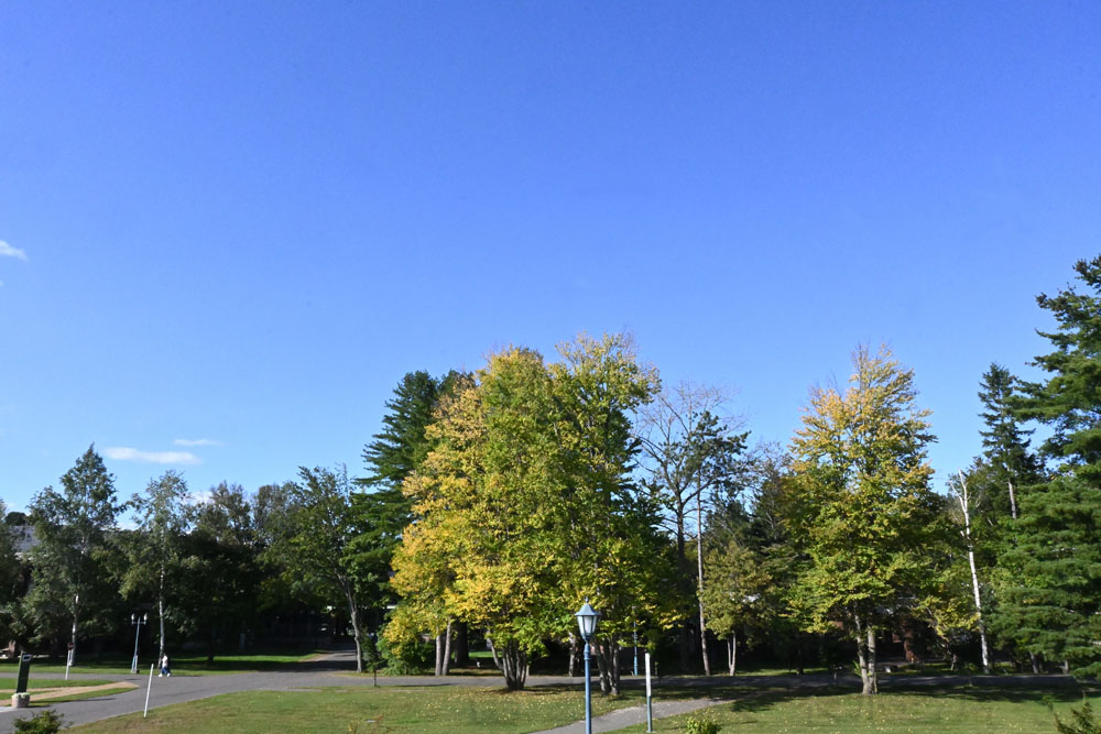 biggining of autumn