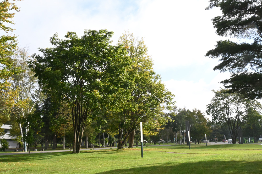 biggining of autumn