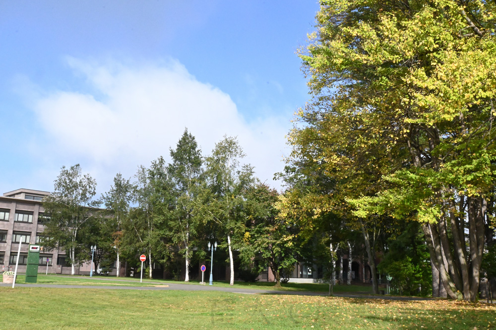 biggining of autumn