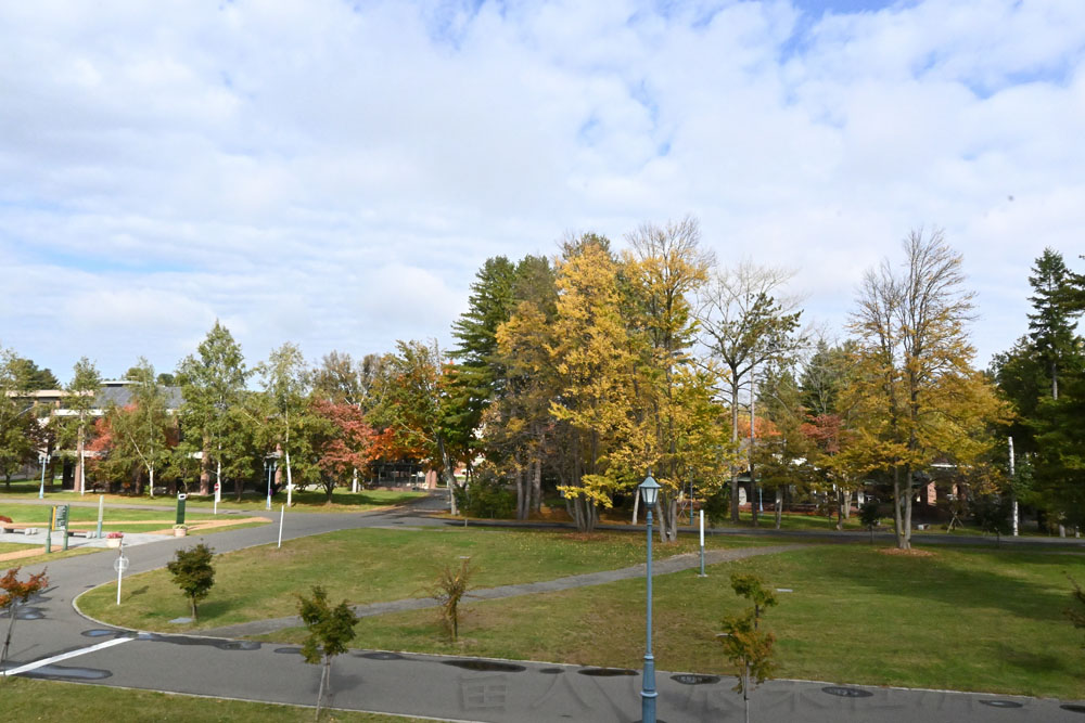 an autunm view