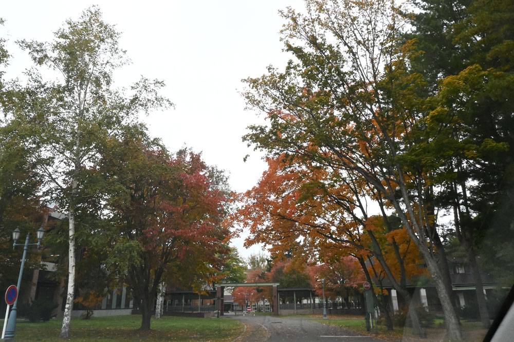an autunm view