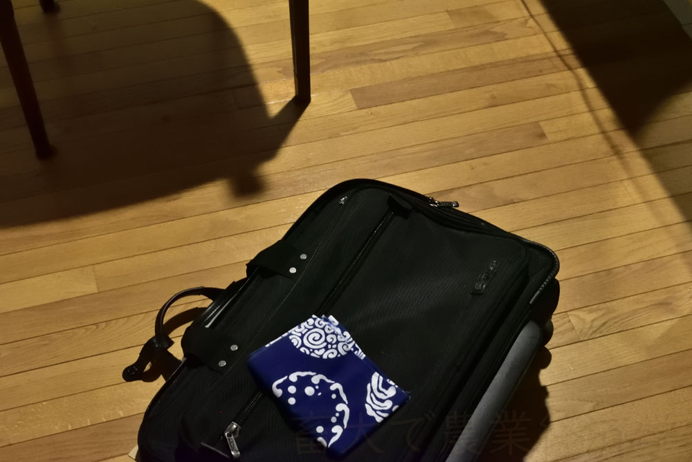 a travel bag