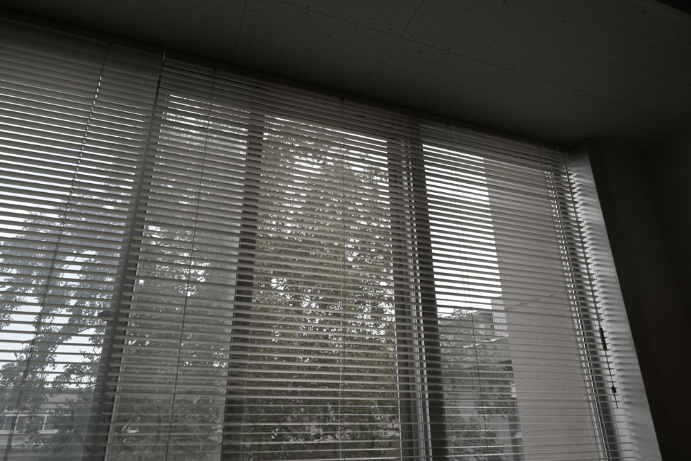windows