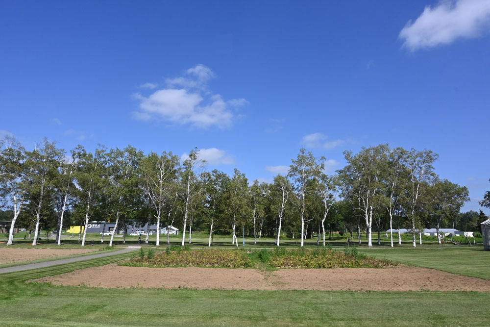 field