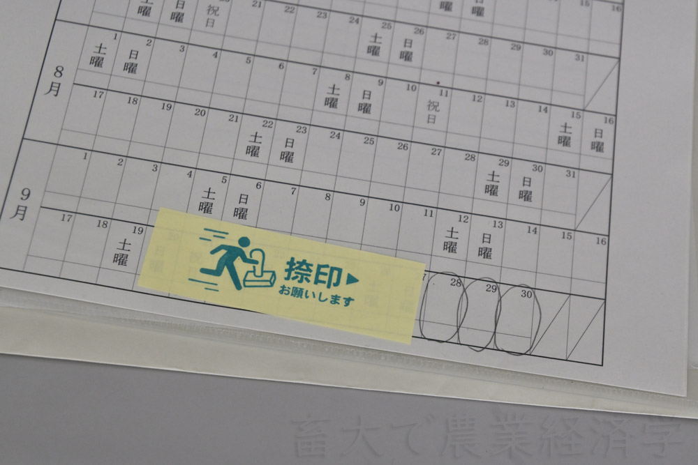 sheet
